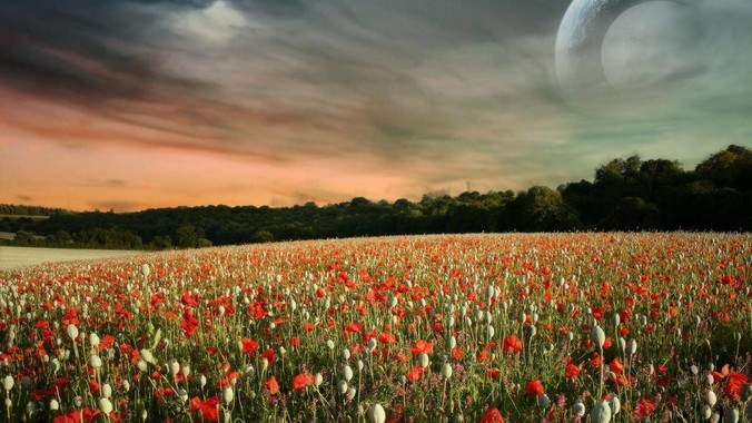 如何评价《一路向西》导演***辉影游新作《捞女游戏》，实际游玩体验如何？